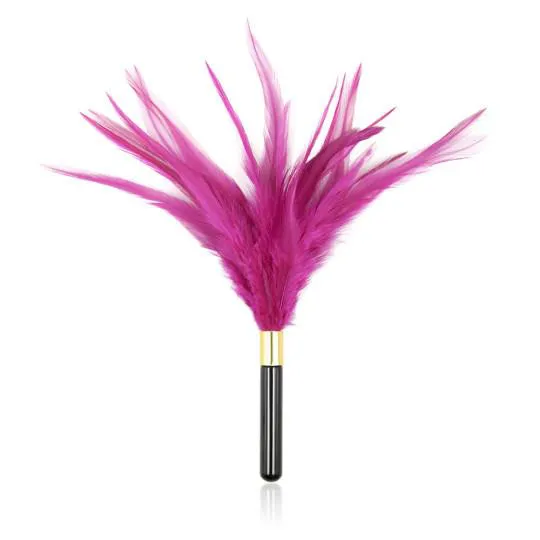 Plumeau Court Large Plumes Fines 23CM