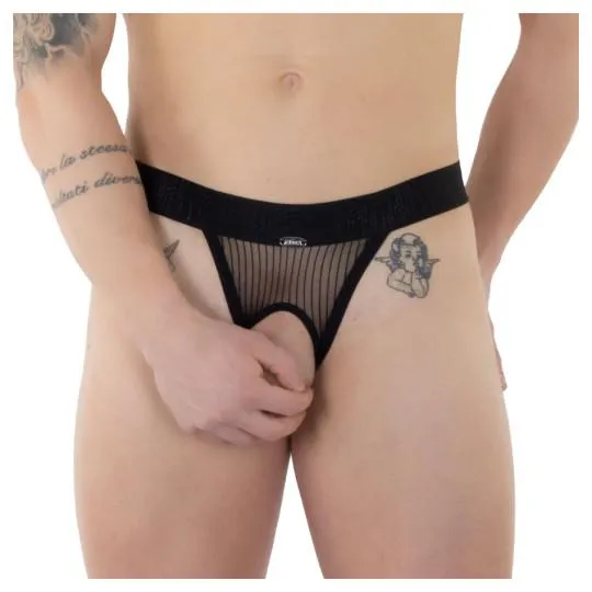 Torino String Cockring