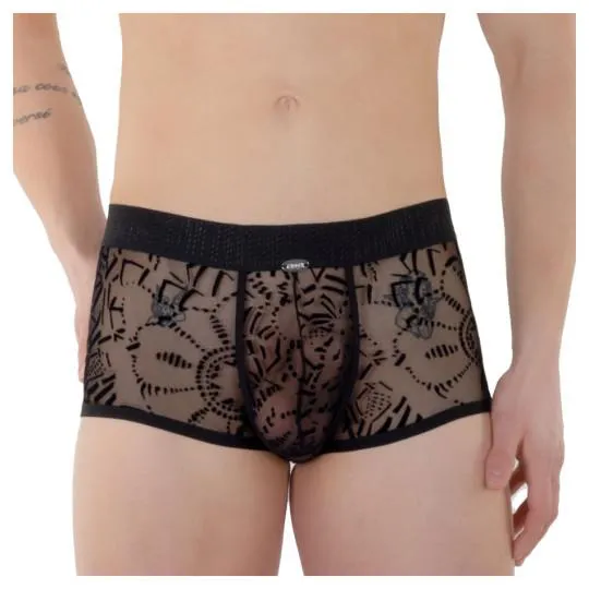 Mahori Boxer Push Up