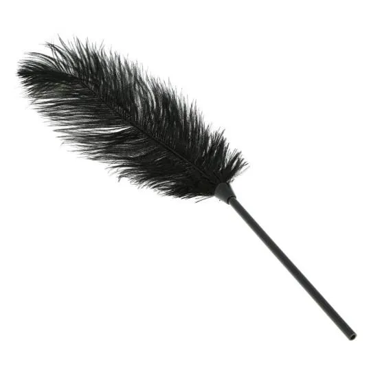 Plume Longue Classique