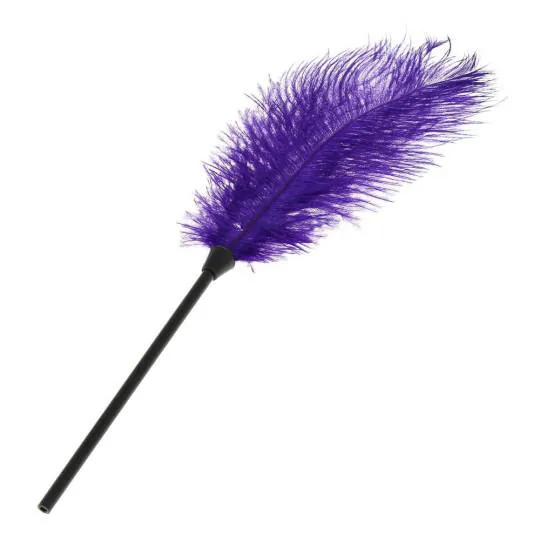Plume Longue Classique