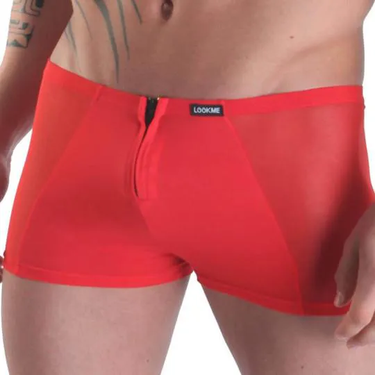 Boxer Wiz