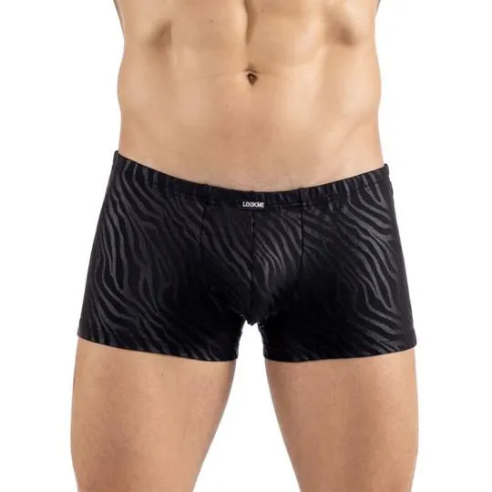 Boxer Zebra