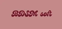 BDSM soft
